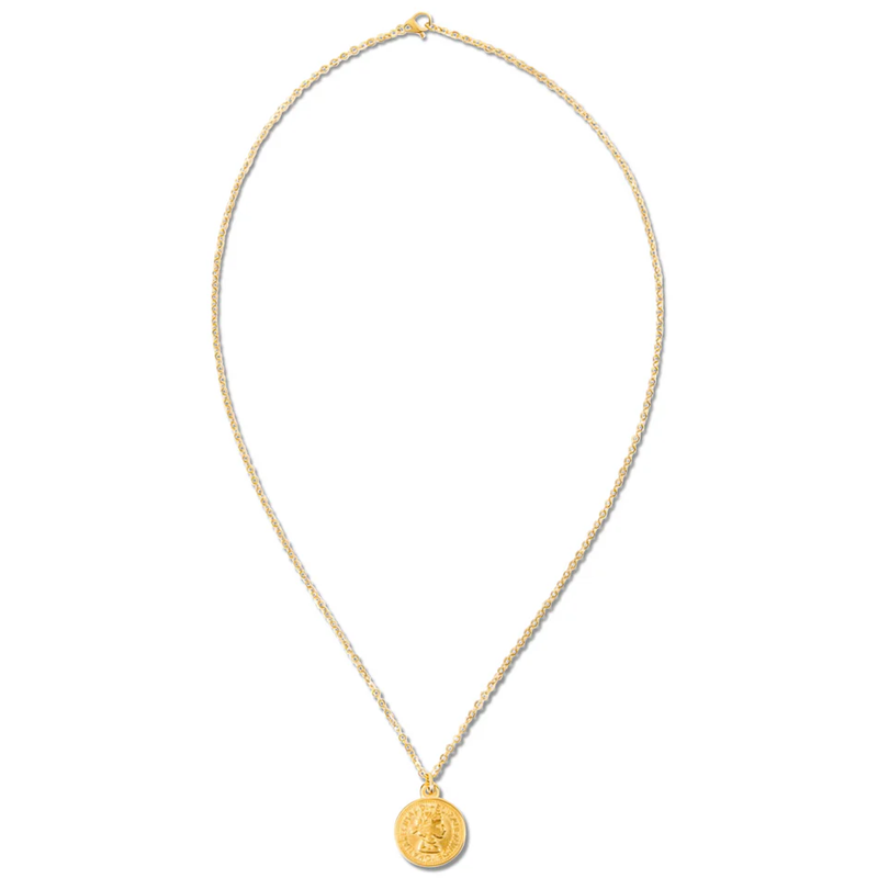 Ellie Vail - Vida Coin Pendant Necklace - caniescape